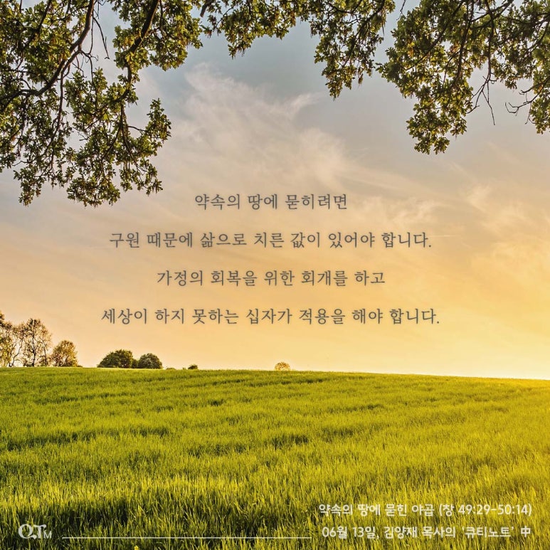 야곱창 이미지