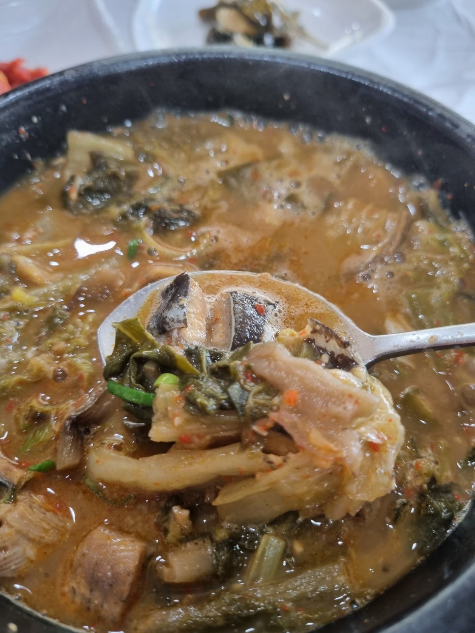 신흥장어 이미지