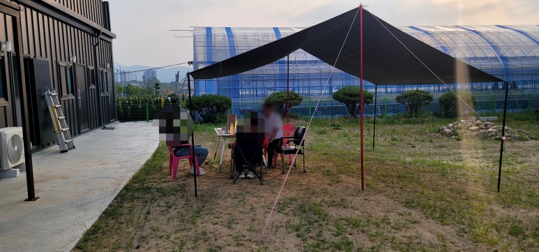 백안전기 이미지