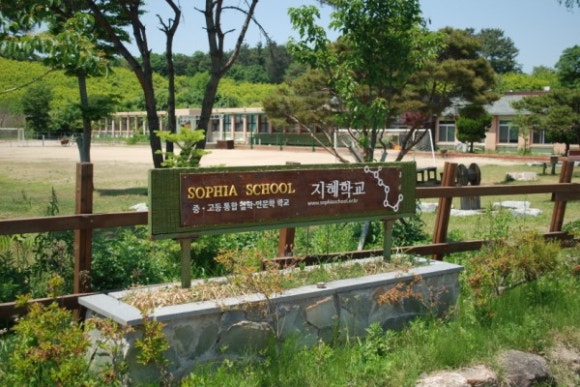 지혜사랑철학학교 이미지