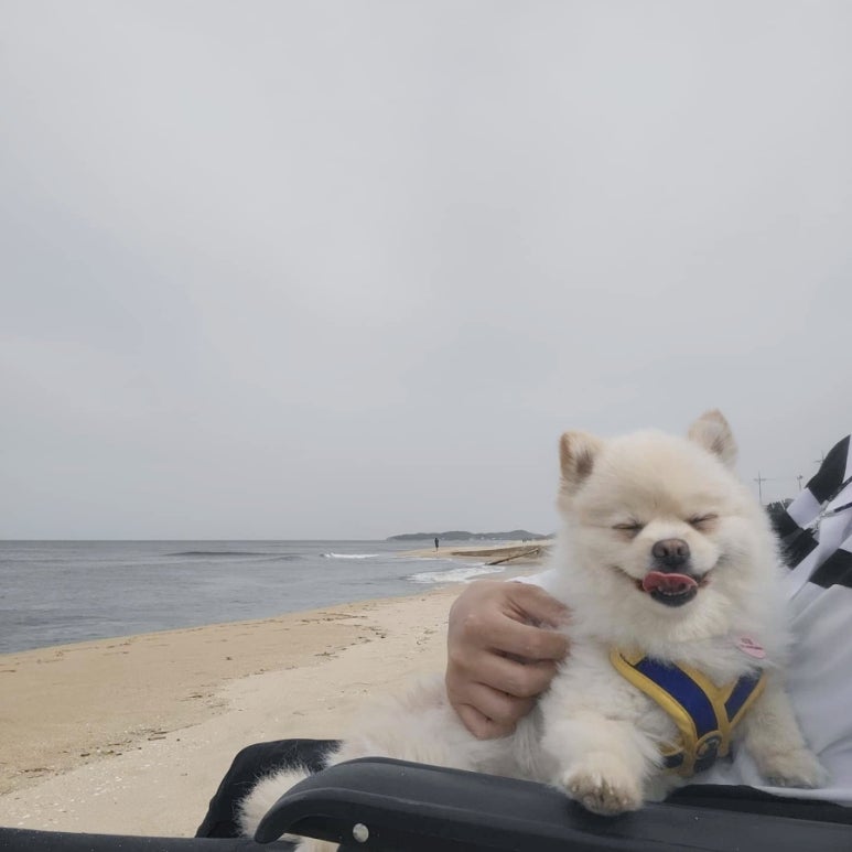 동해를그리다 이미지
