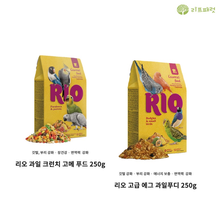 리프리오 이미지