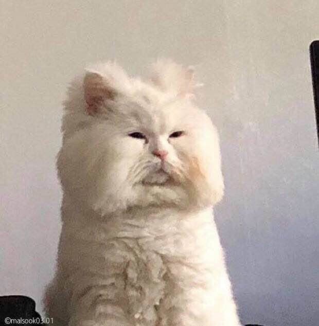 오치대패삼겹살 이미지
