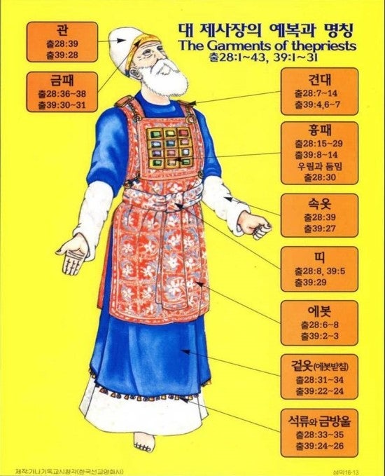 청색자색 이미지