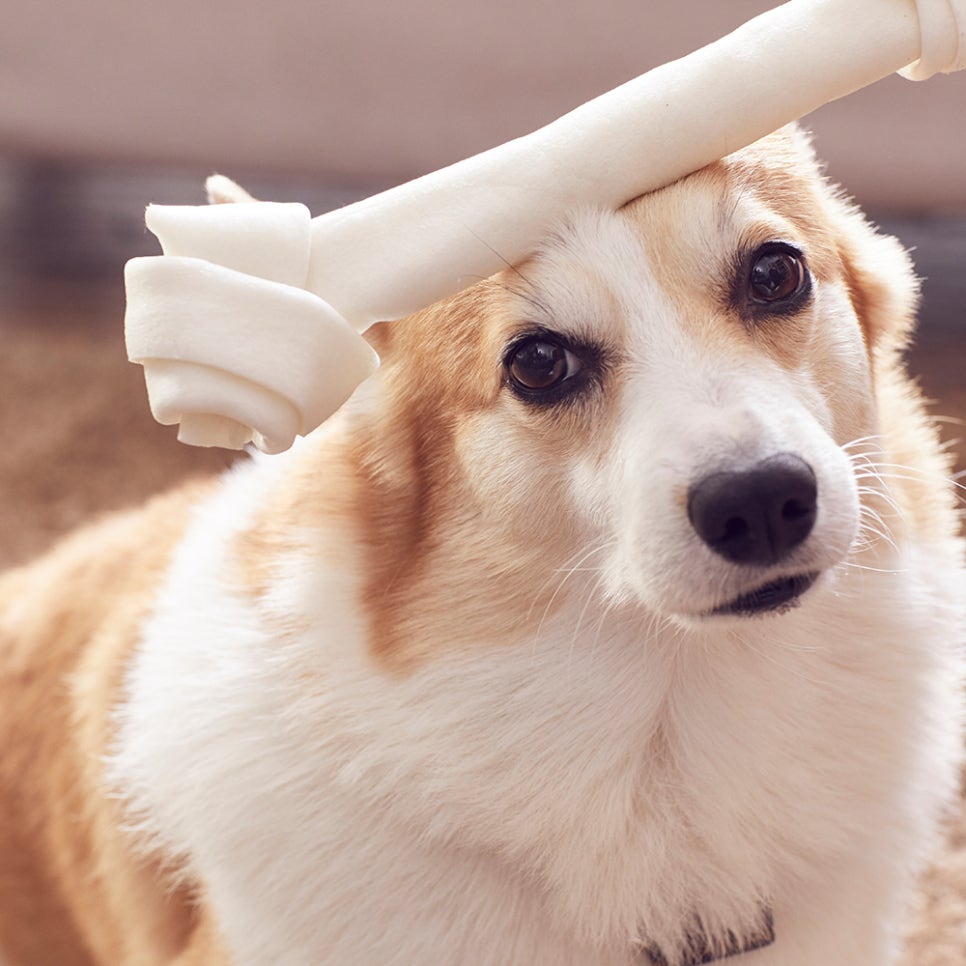 카페생각 이미지