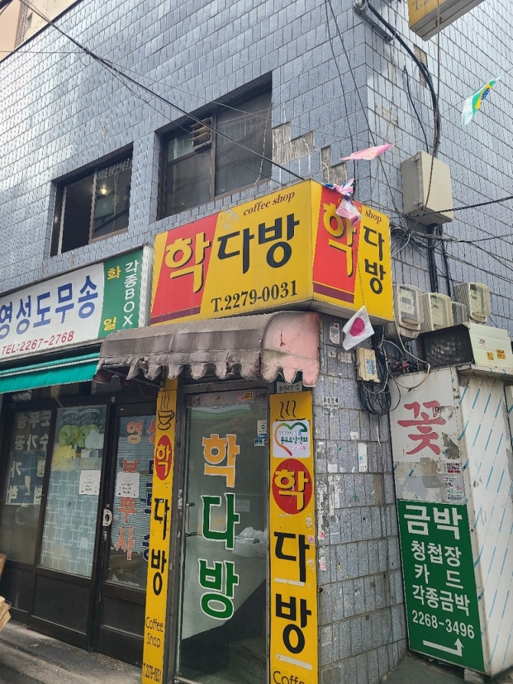 싸이다방 이미지