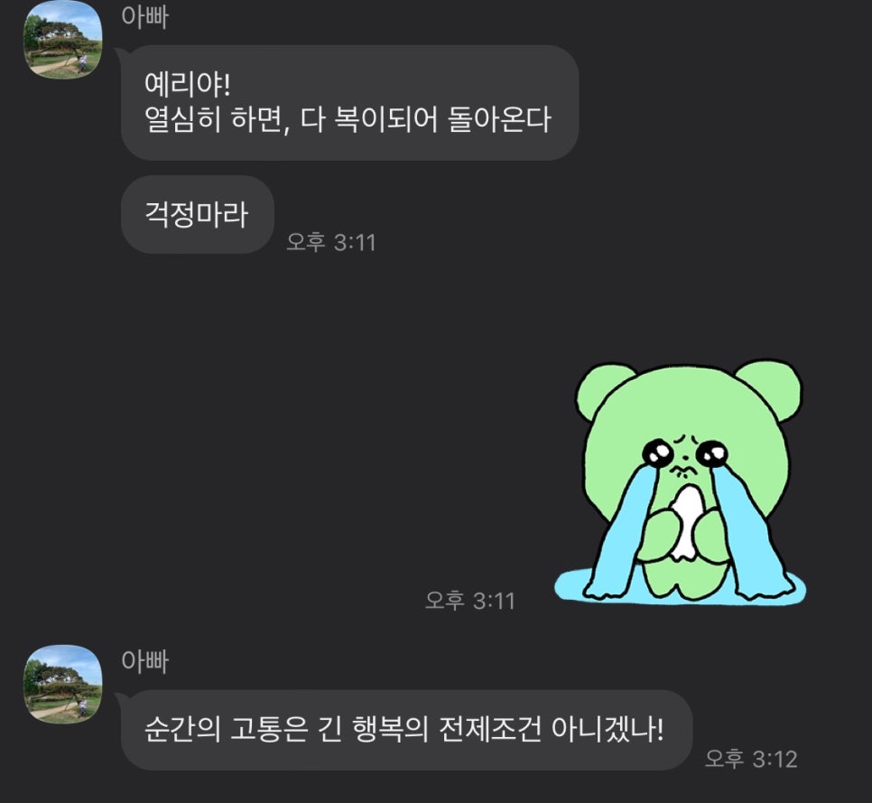 집시테라피 이미지