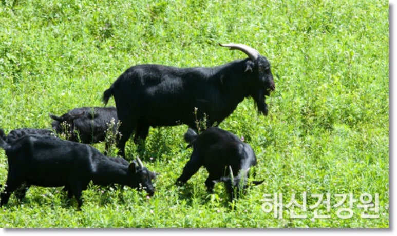 행복한건강원 이미지