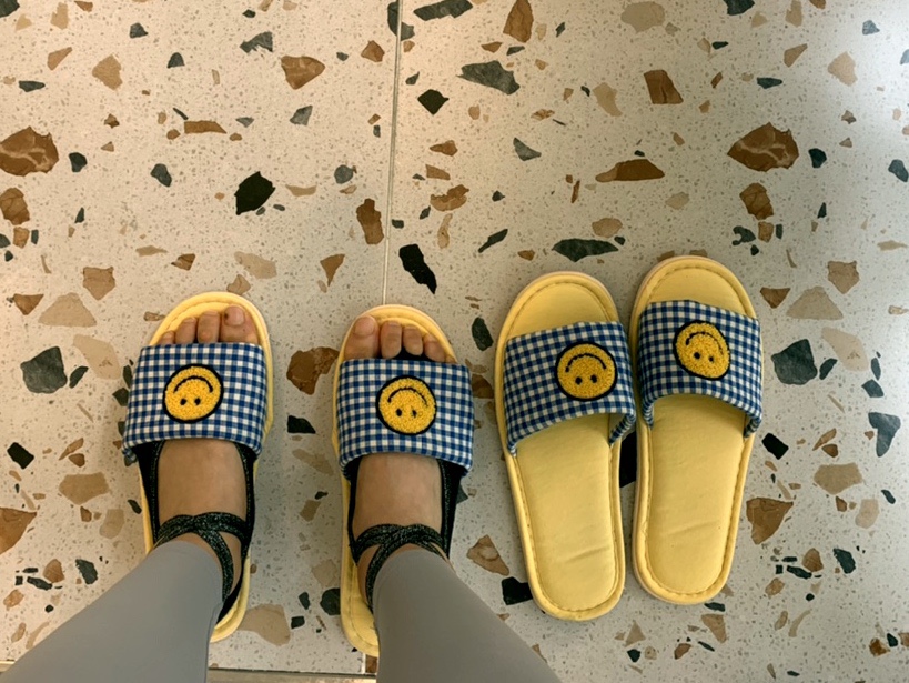 스마일데이지(Smile Daisy) 이미지