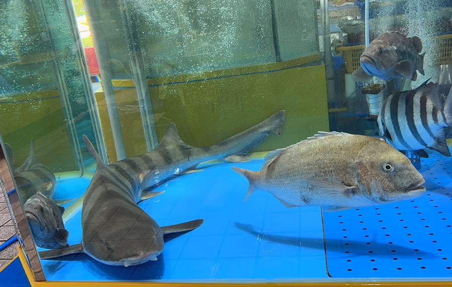 거시기수산 이미지