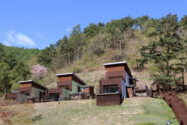 흥림산자연휴양림 이미지