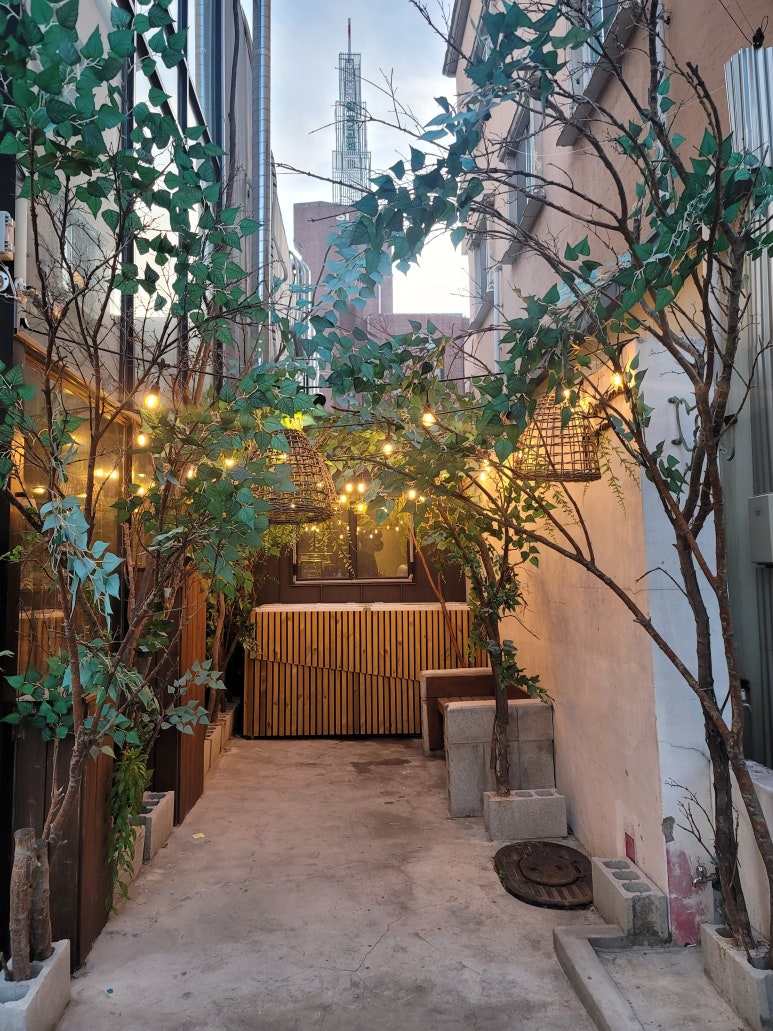마시모레지나 이미지