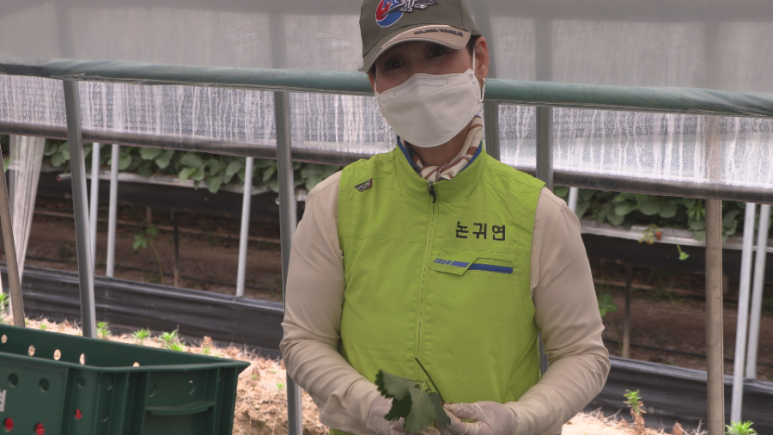 지역발전연합회 이미지