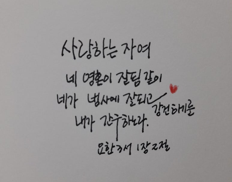 법인들사랑 이미지