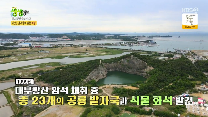대부요트 이미지