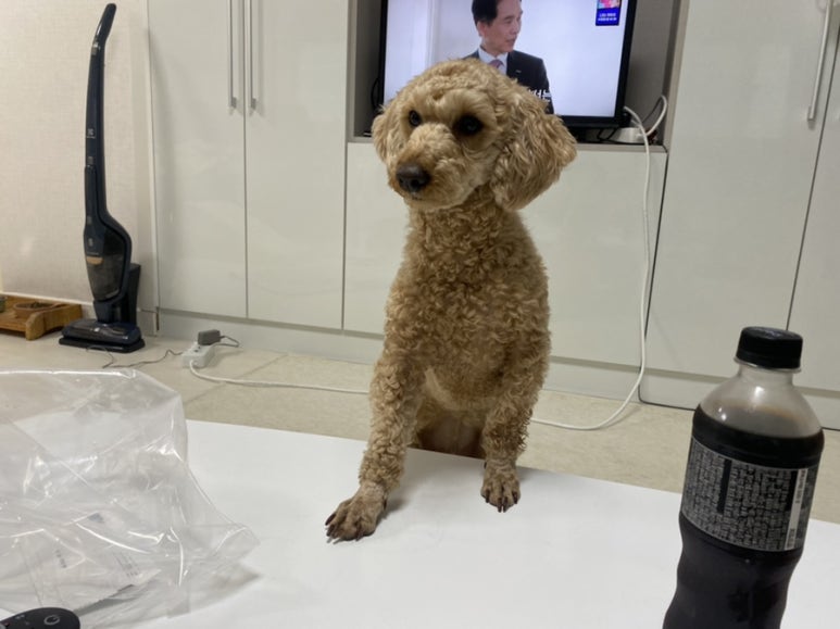 븨븨티버거 이미지