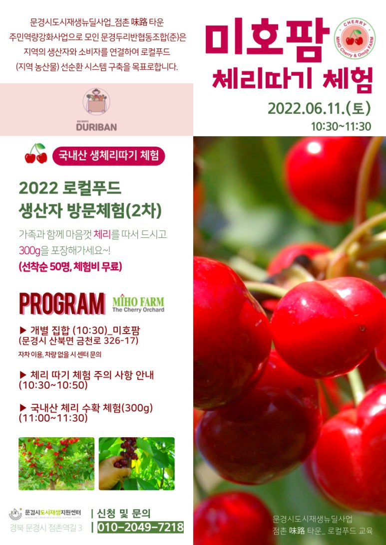 체리 팜 이미지
