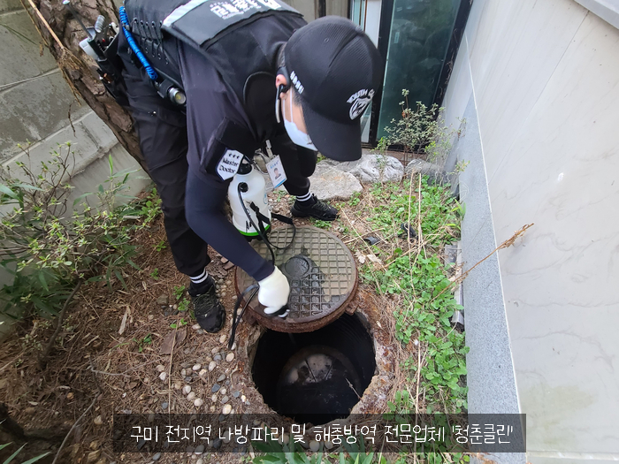 청춘청소방역 이미지