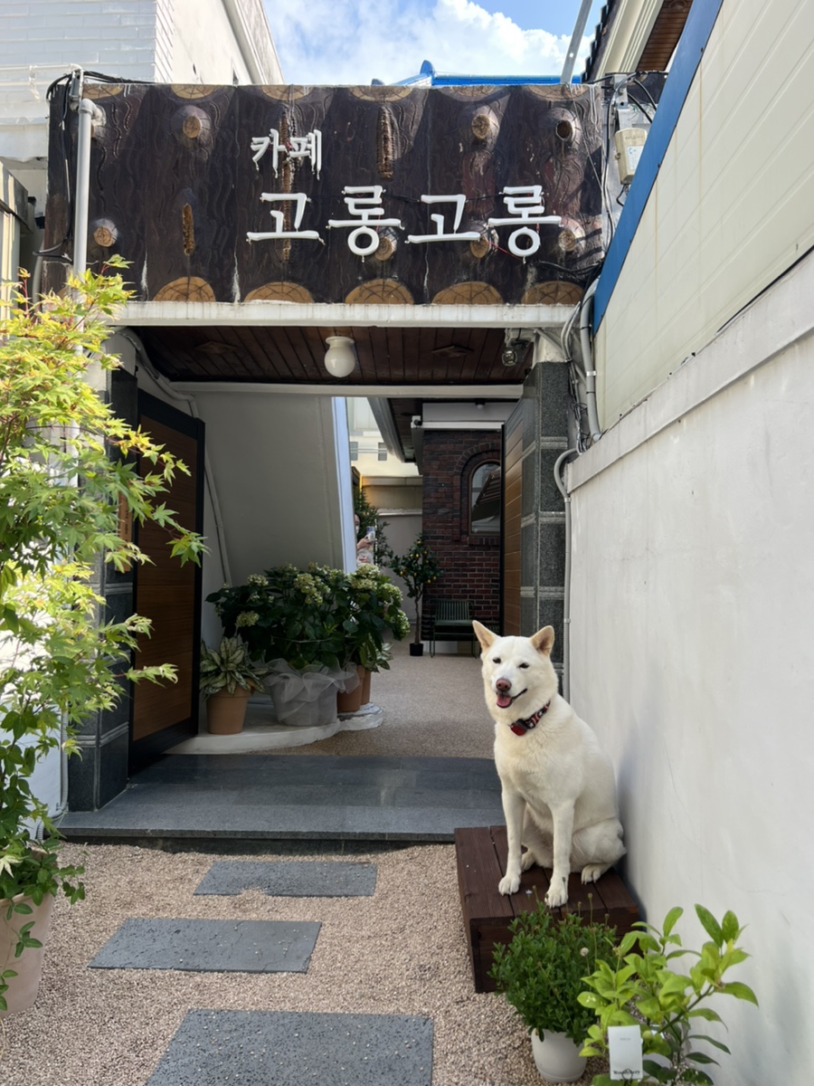 카페고롱고롱 이미지