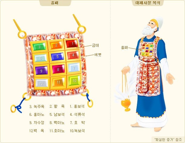 청색자색 이미지