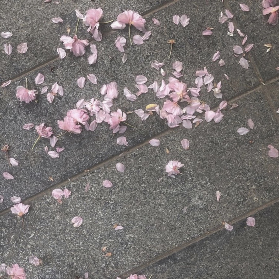 짱돌의분식 이미지