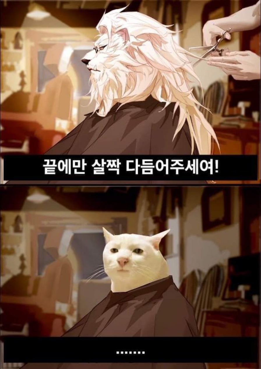 동네미용실 이미지