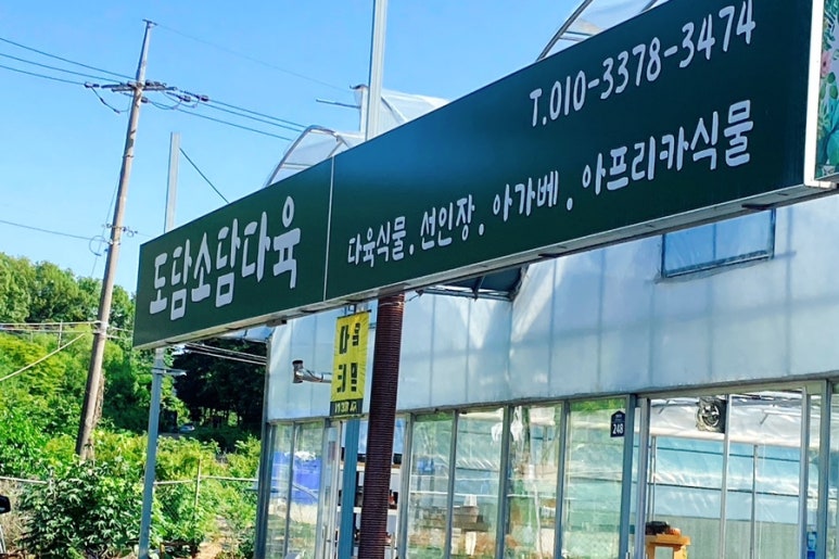 도담소담다육 이미지