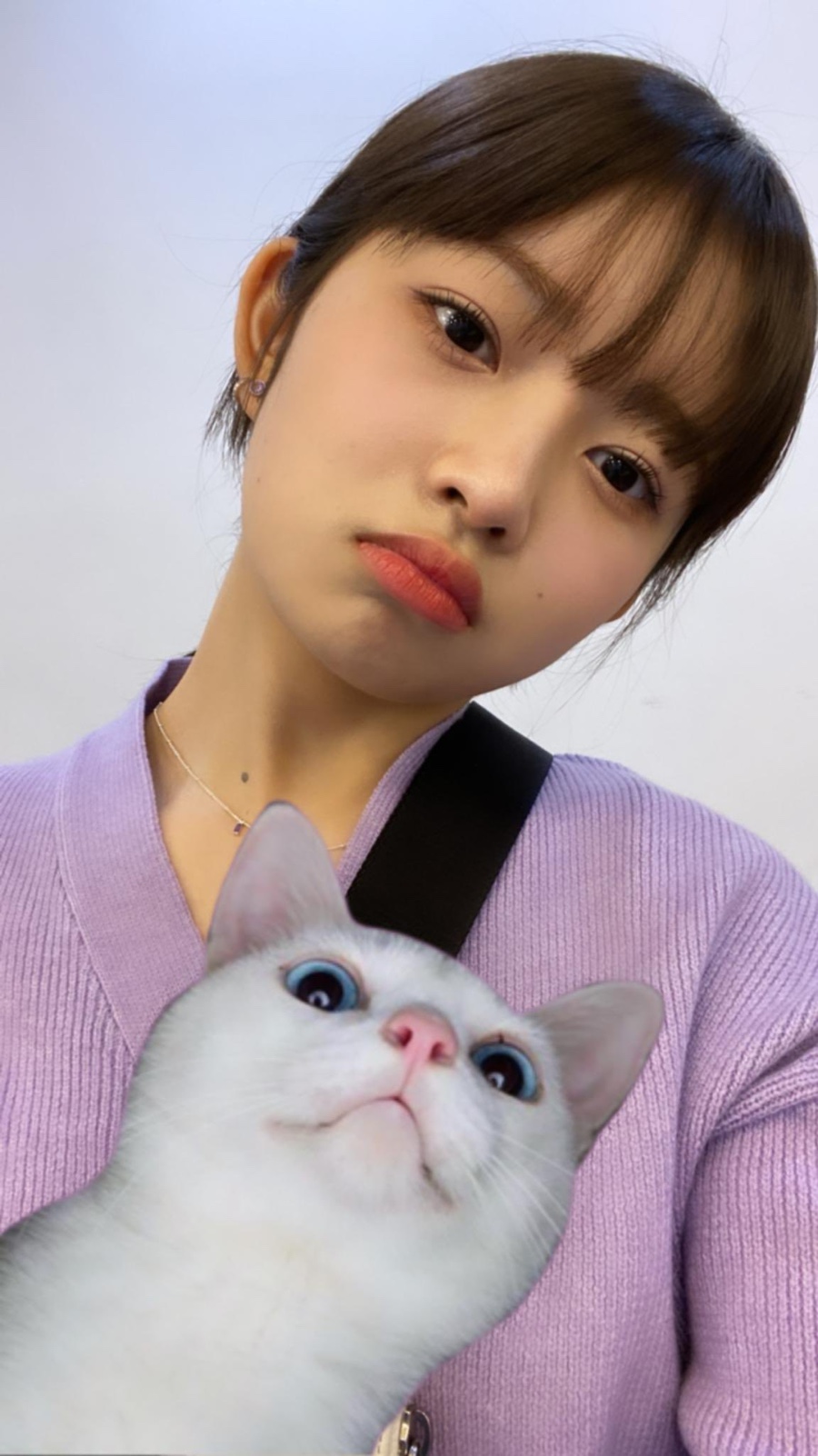 밤새 우리 이미지