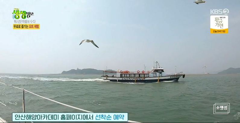 대부요트 이미지