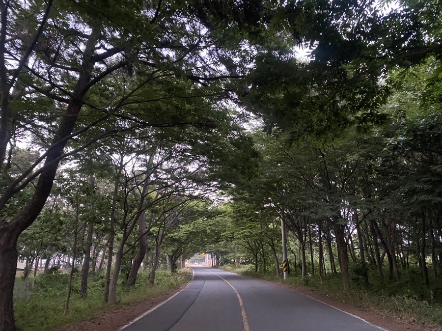 불꽃노래연습장 이미지