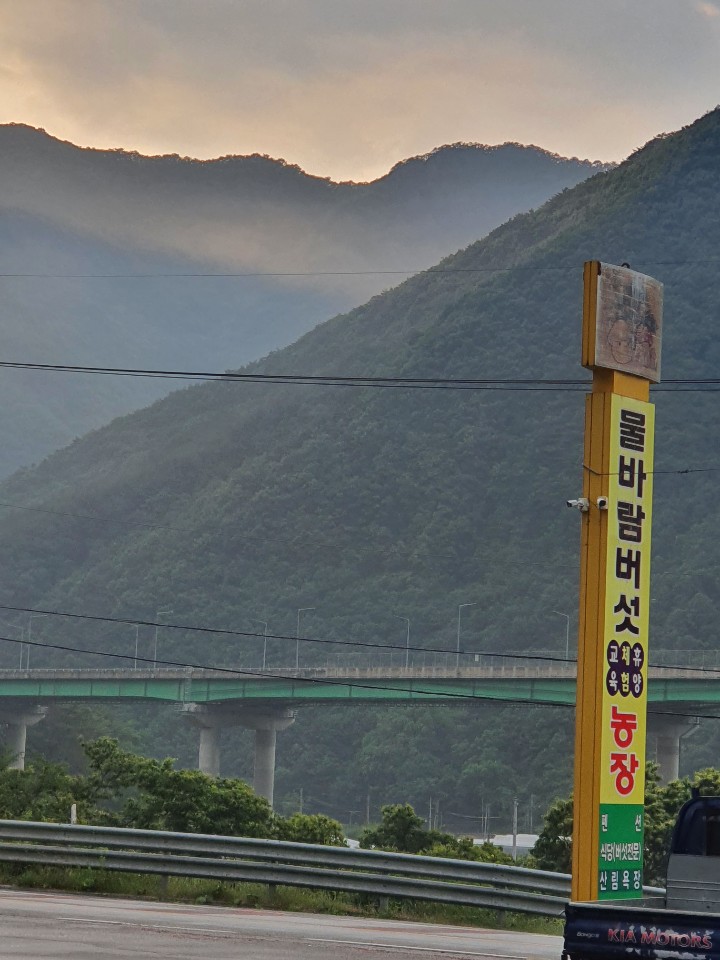 영월주유소 이미지