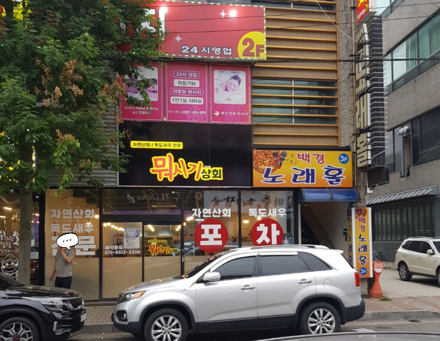 독도상회 이미지