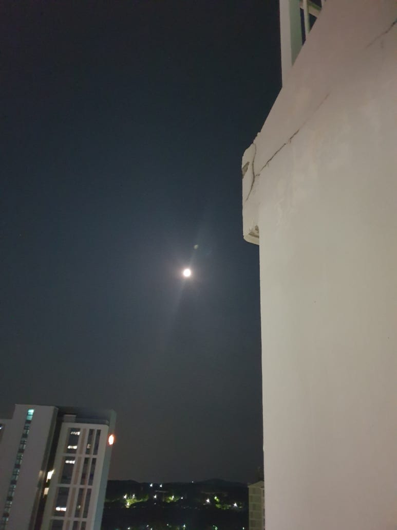 태을당 이미지