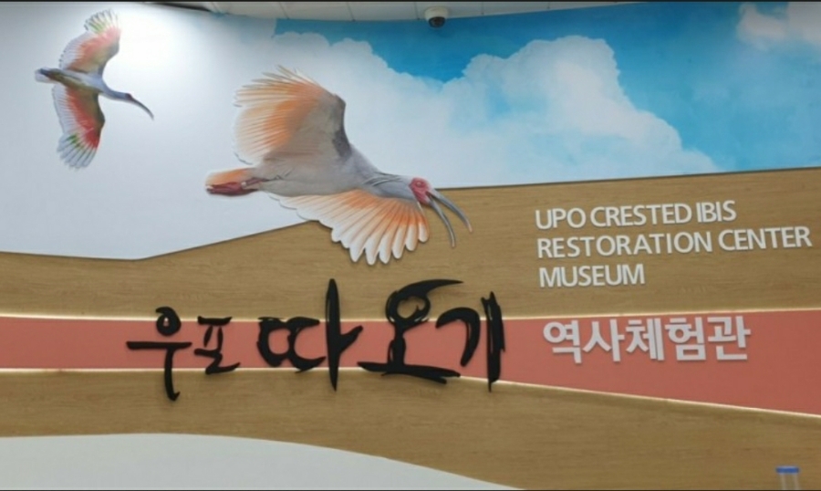 에코누리 이미지