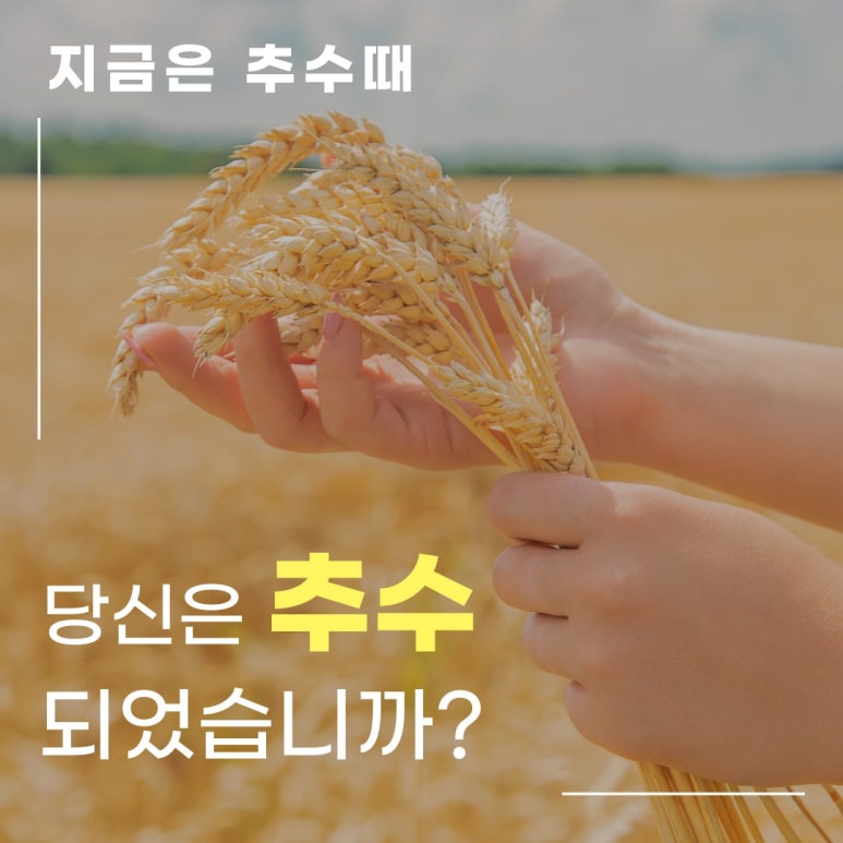 엔디엔 이미지