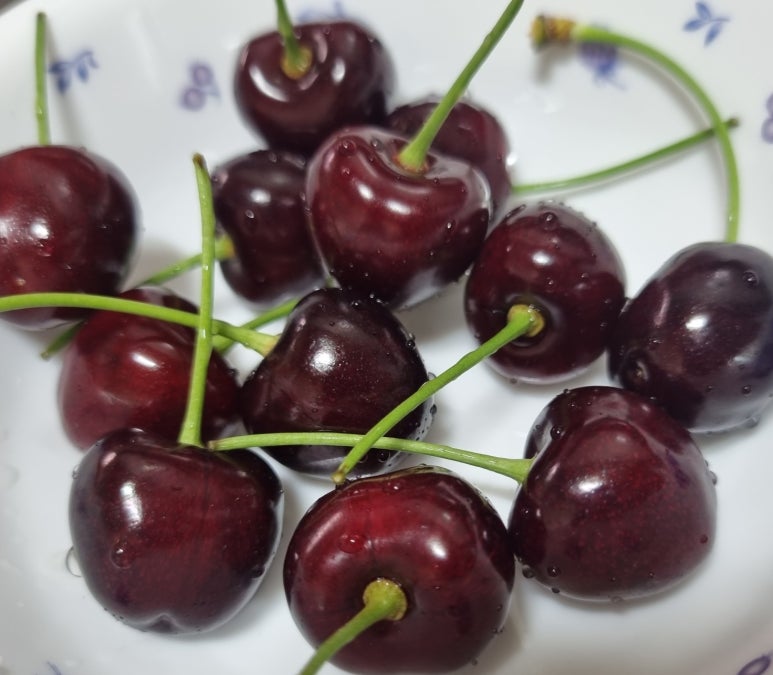 냠냠쩝쩝 이미지