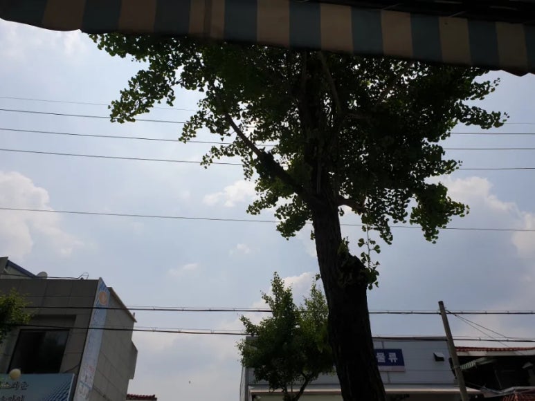 짝다방 이미지