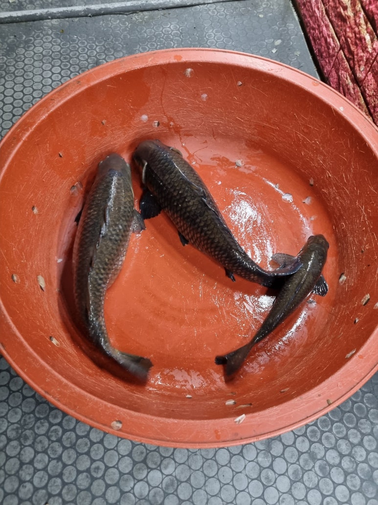 경훈빌딩 이미지