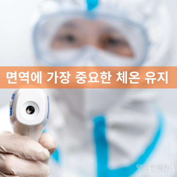 미사바이오포톤 이미지