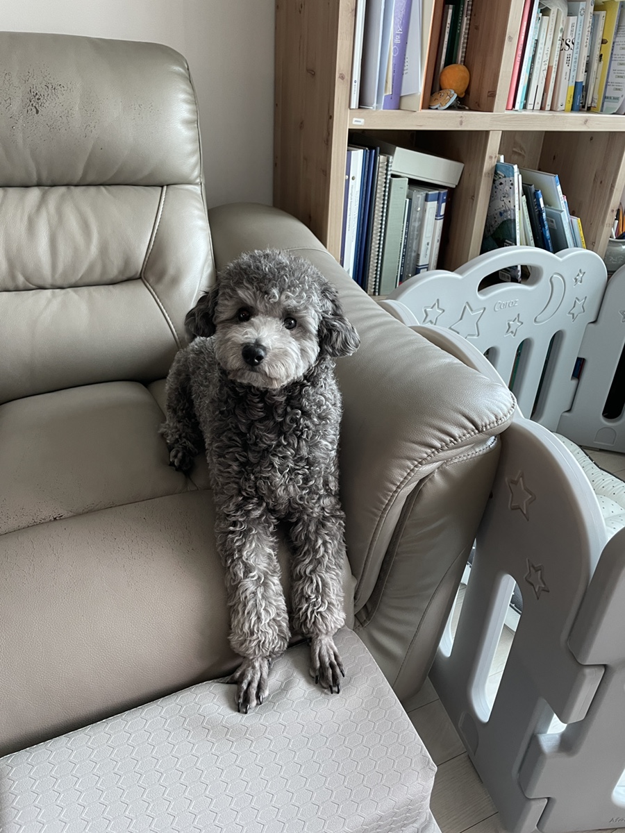 꾸름 이미지