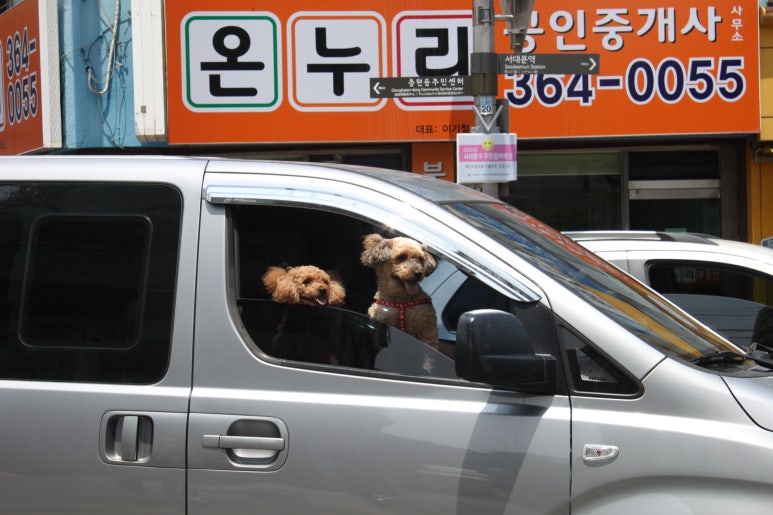 오거리슈퍼 이미지