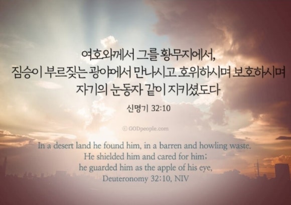 오드인터내셔날 이미지