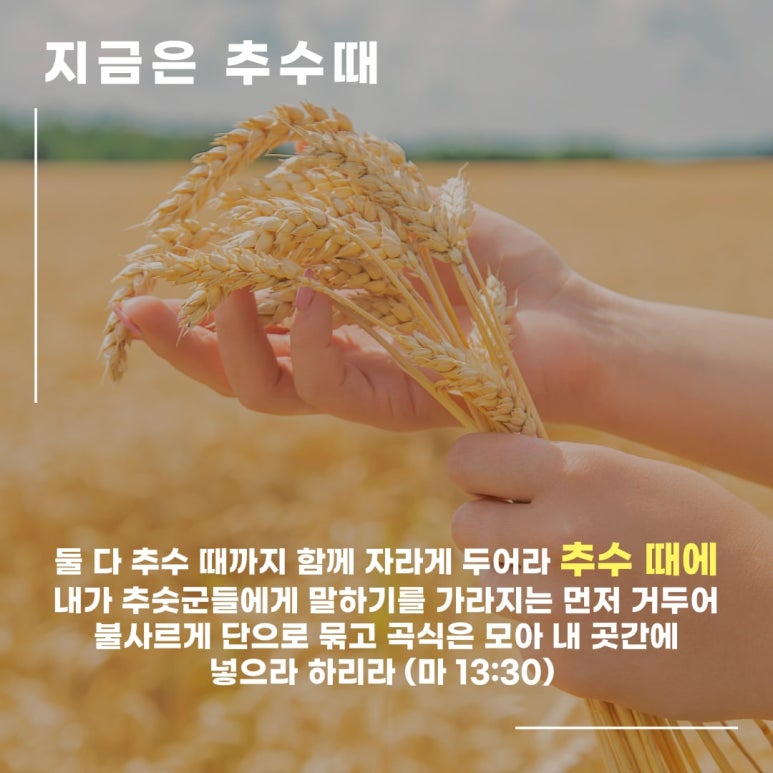 엔디엔 이미지