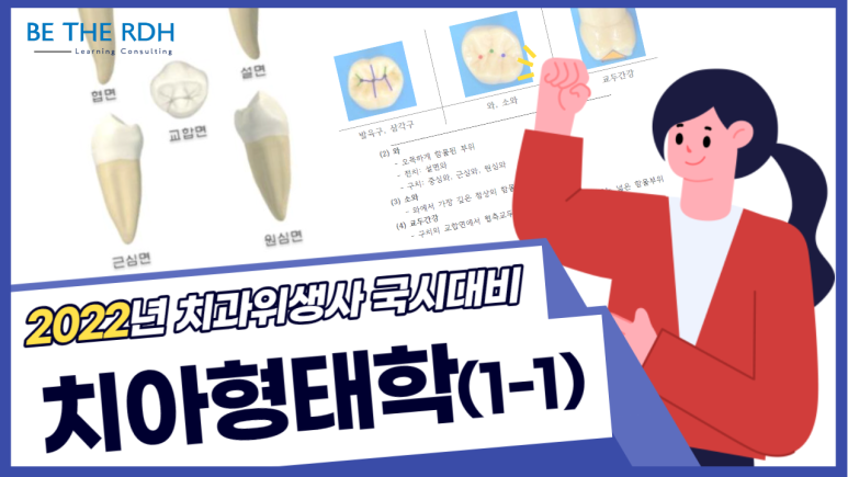 메듀플 이미지