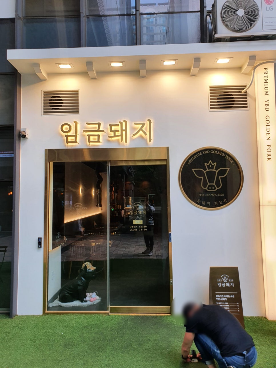 금돼지 이미지
