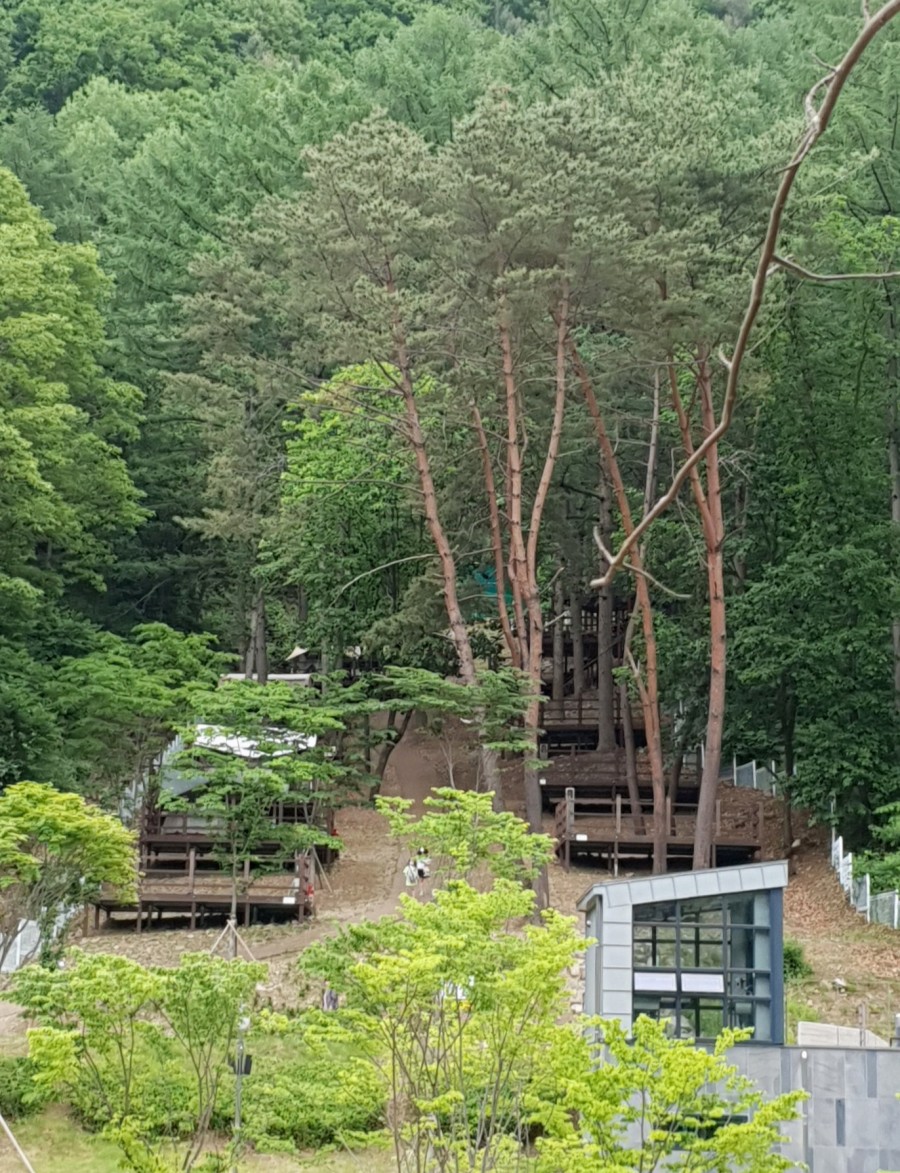 문수산 자연휴양림 야영장 이미지