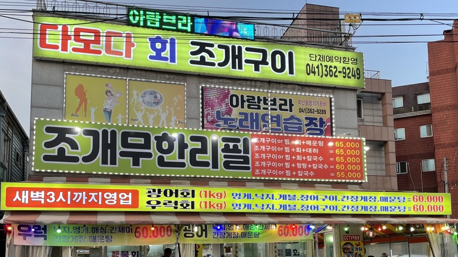 다모다 이미지