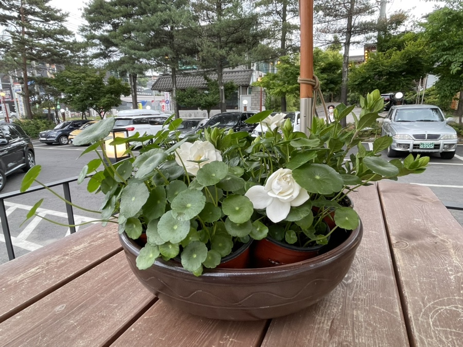 빵궁전 이미지