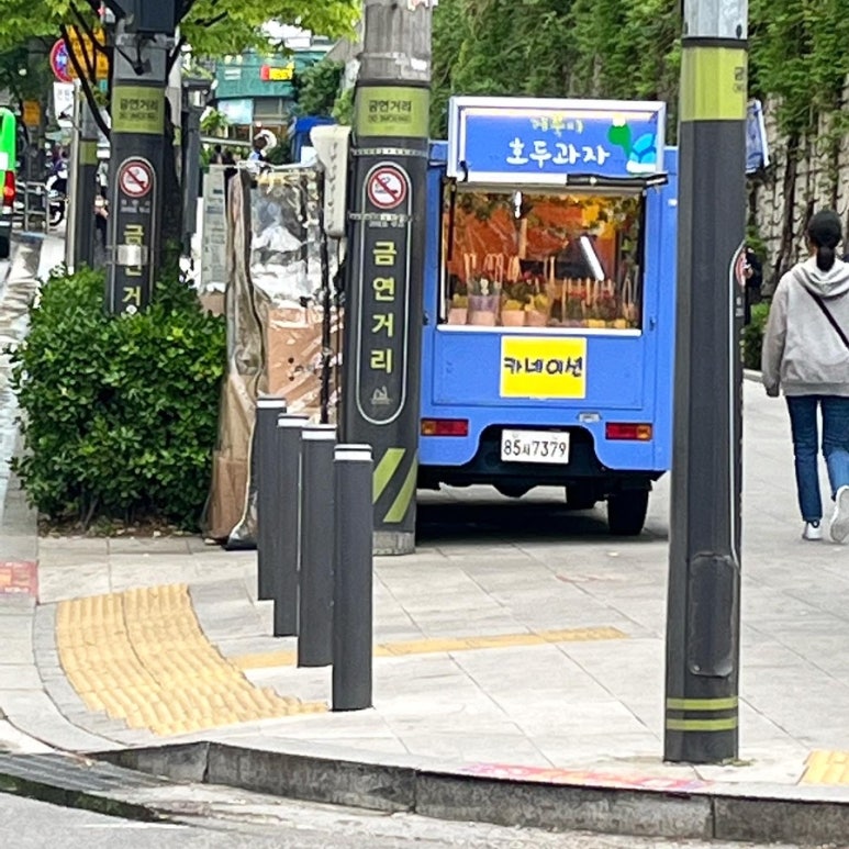 거북이 차과자 이미지