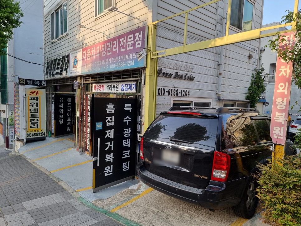덴트칼라 이미지